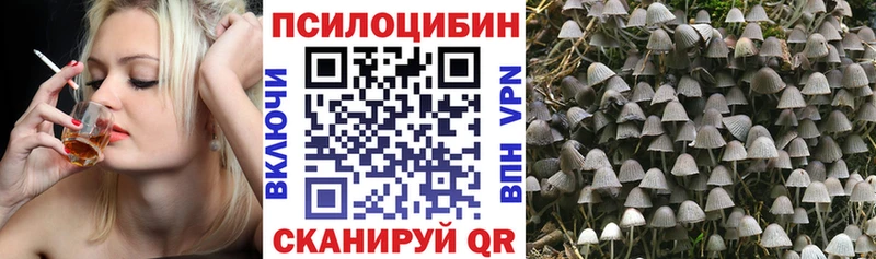 гидра маркетплейс  Пыть-Ях  Псилоцибиновые грибы Magic Shrooms  хочу наркоту 