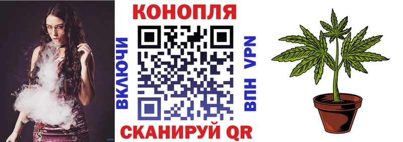 мега маркетплейс  Пыть-Ях  Бошки Шишки AK-47 
